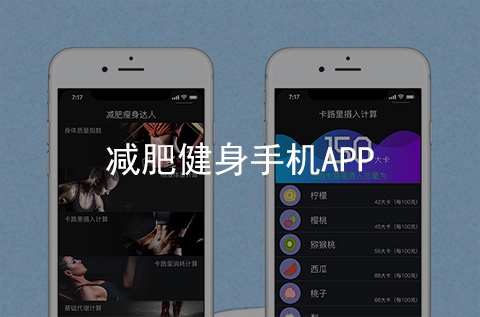 減肥健身APP開(kāi)發(fā)案例（河北APP制作案例）