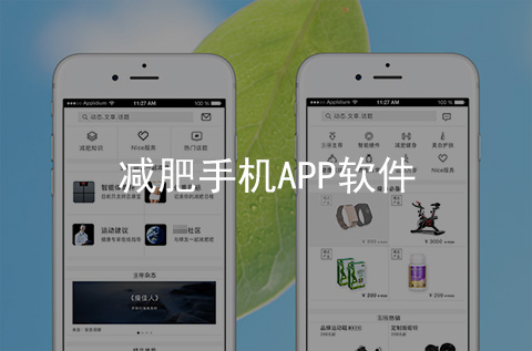 減肥手機(jī)APP開(kāi)發(fā)案例