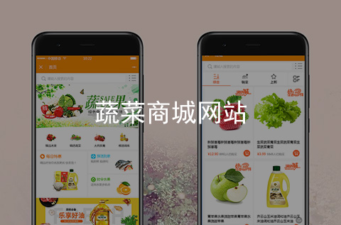 蔬菜商城手機網站制作案例_項目案例
